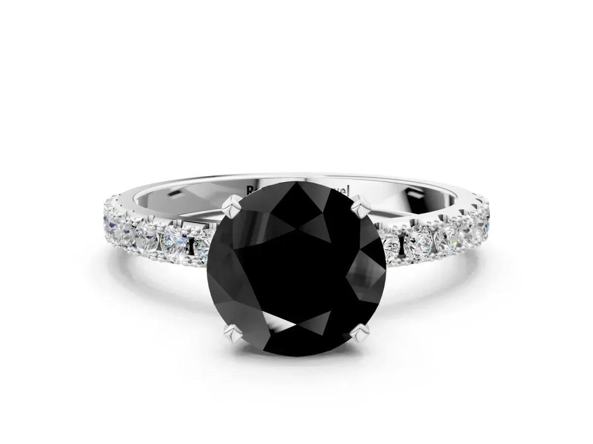 Fancy Black Round Cut Diamond Solitaire Pavé Band with Four-Prong Setting Platinum