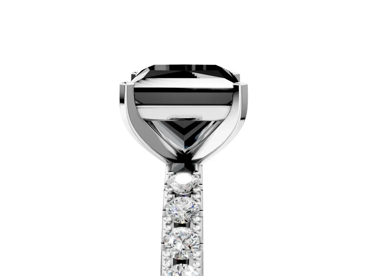 Fancy Black Princess Cut Diamond Solitaire Pavé Band with Four-Prong Setting Platinum