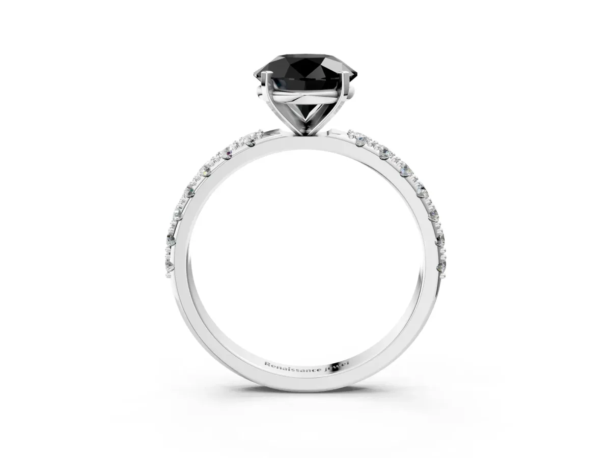 Fancy Black Round Cut Diamond Solitaire Pavé Band with Four-Prong Setting Platinum