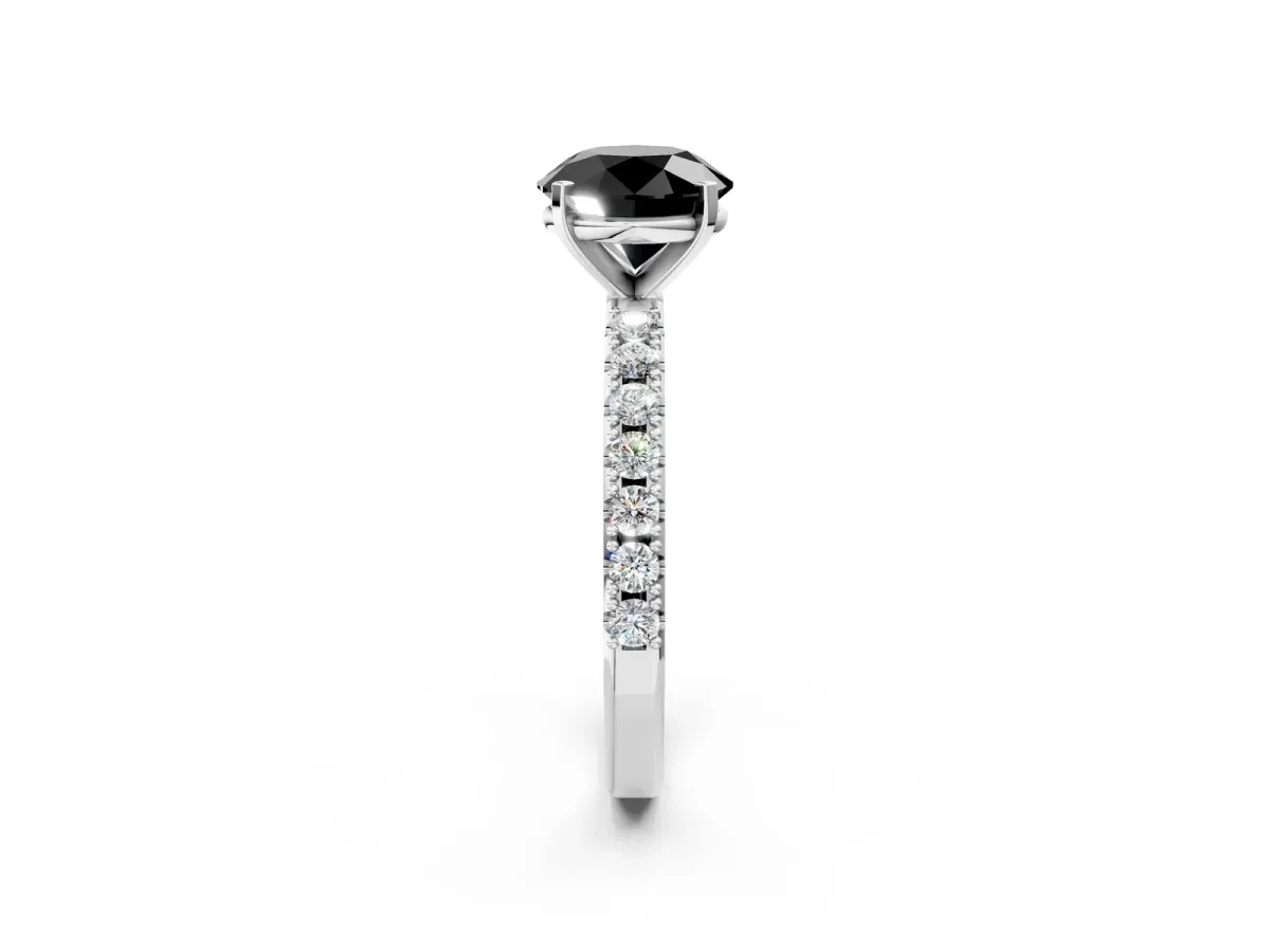 Fancy Black Round Cut Diamond Solitaire Pavé Band with Four-Prong Setting Platinum