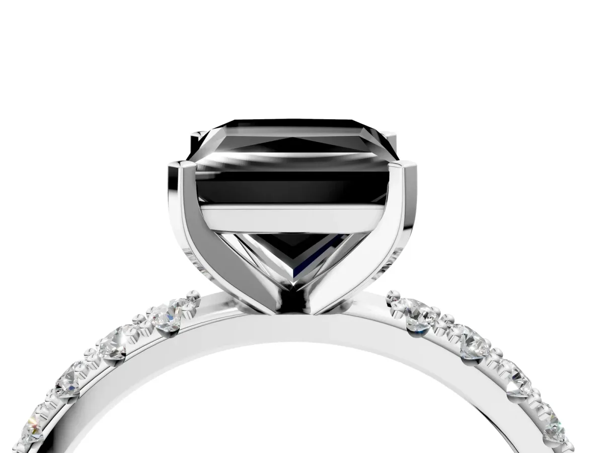 Fancy Black Princess Cut Diamond Solitaire Pavé Band with Four-Prong Setting Platinum