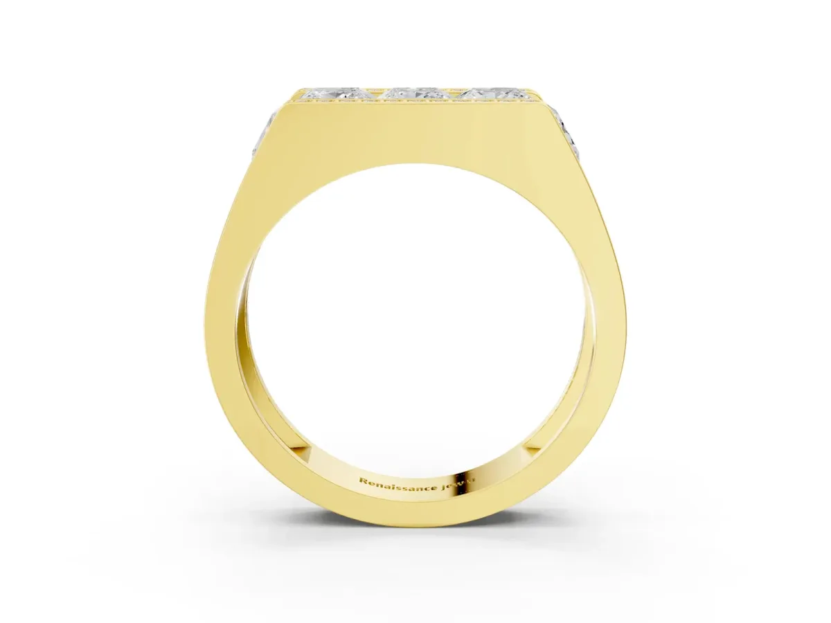Princess and Round Diamond Channel Pavé Mens Band Yellow gold