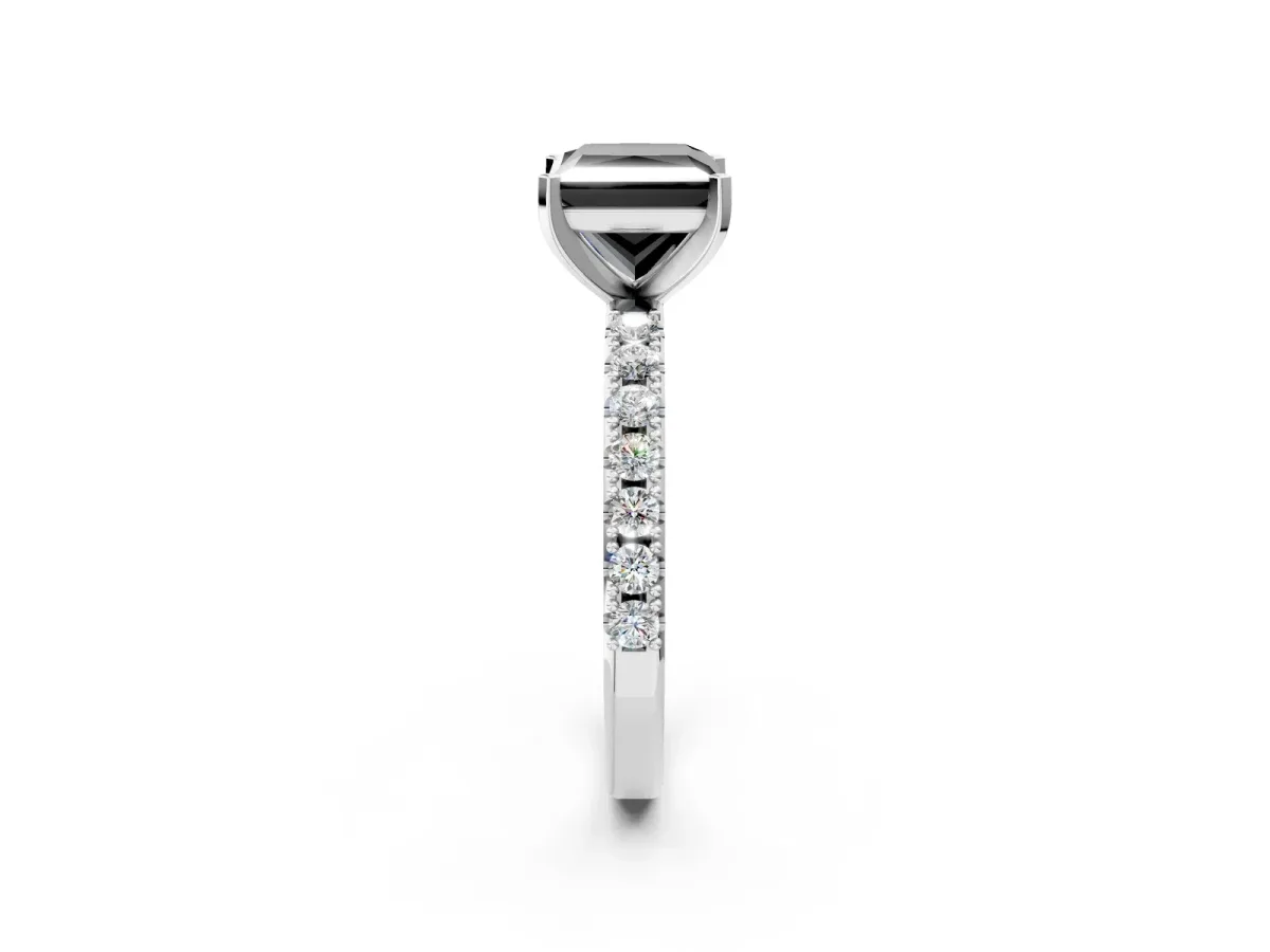 Fancy Black Princess Cut Diamond Solitaire Pavé Band with Four-Prong Setting Platinum
