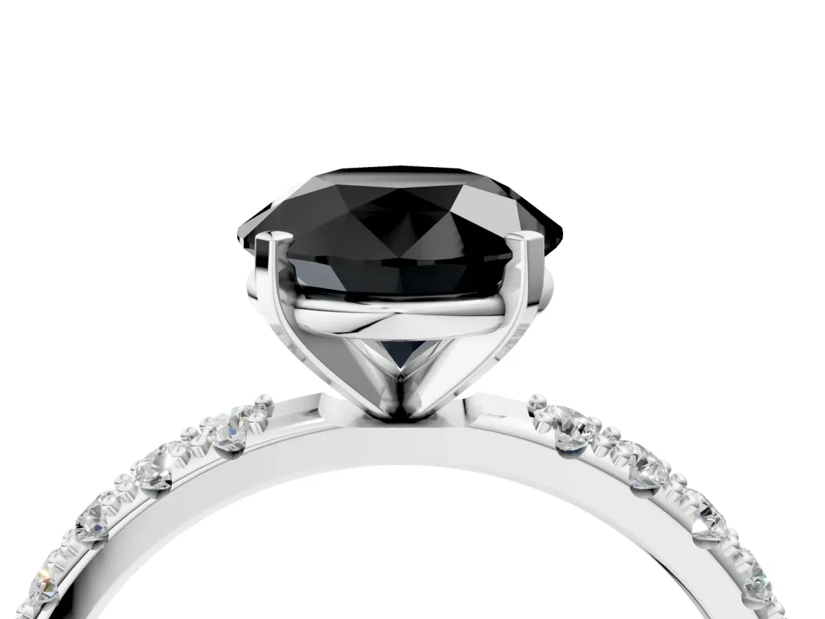 Fancy Black Round Cut Diamond Solitaire Pavé Band with Four-Prong Setting Platinum