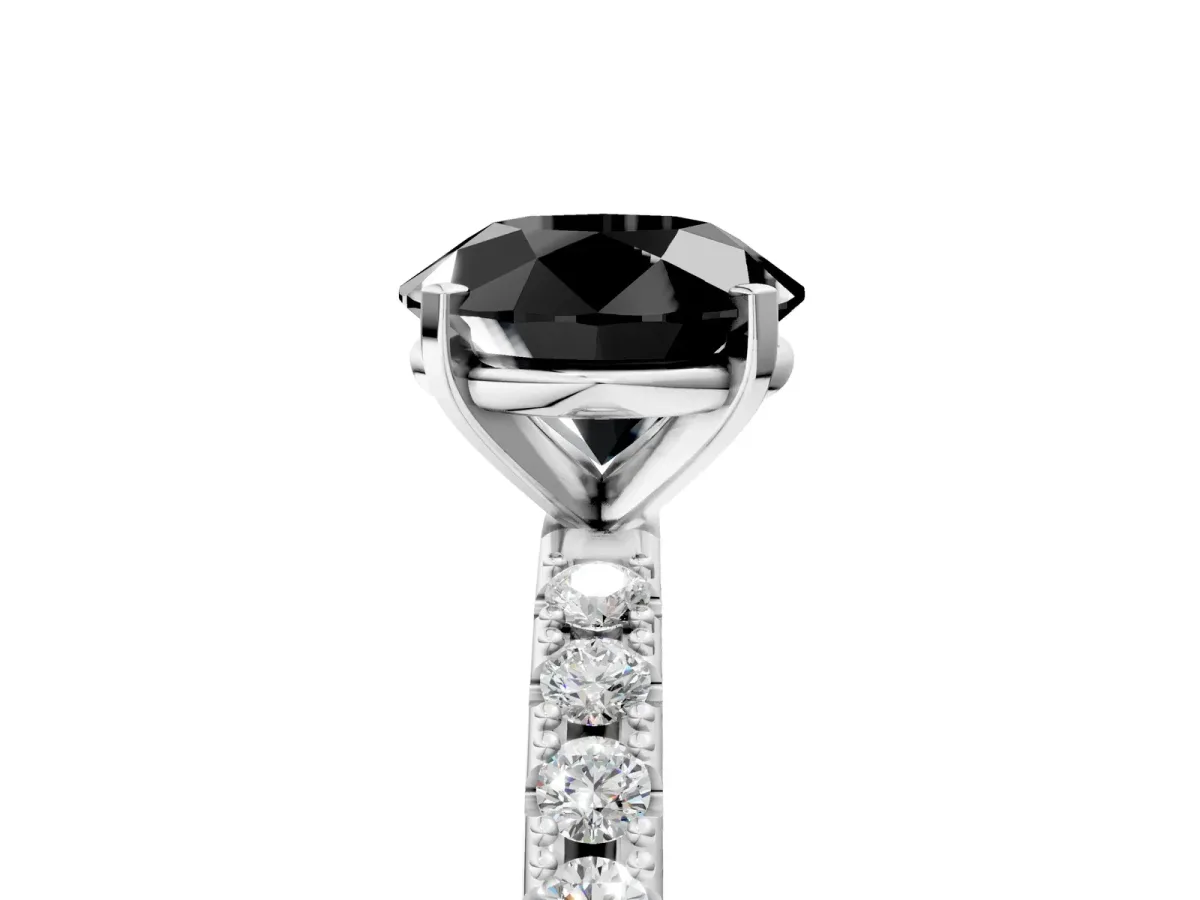 Fancy Black Round Cut Diamond Solitaire Pavé Band with Four-Prong Setting Platinum